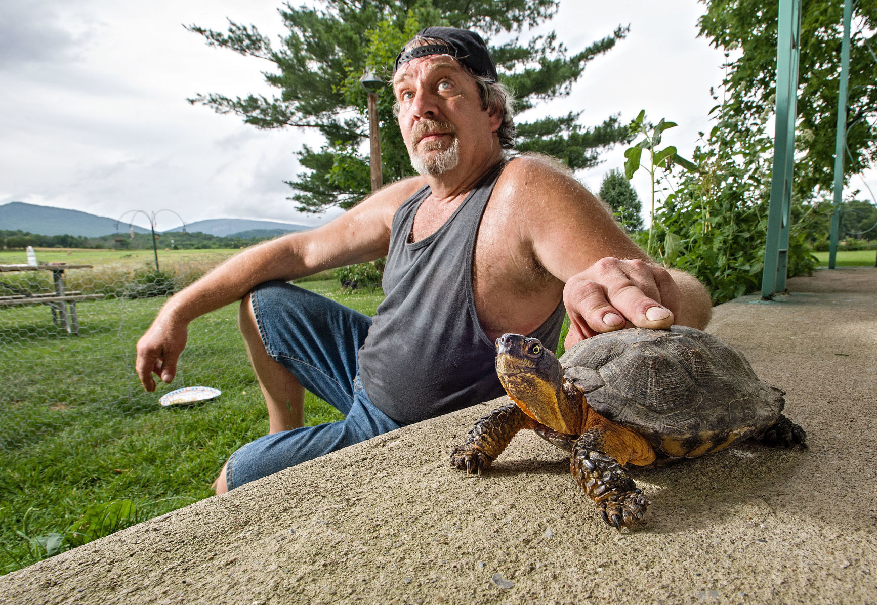 LINEWEAVER_TURTLE1